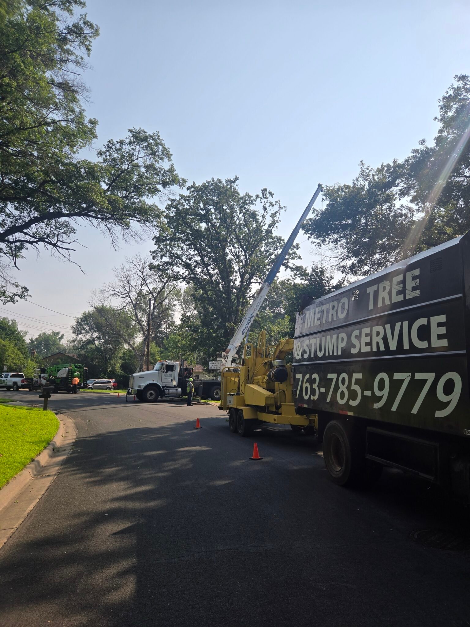 Expert Tree & Crane Services | Metro Tree & Crane