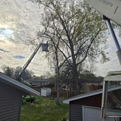719387822016