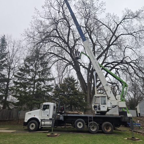 stillwatercranecottonwood